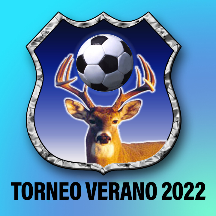 Logo de torneo Torneo Verano 2022