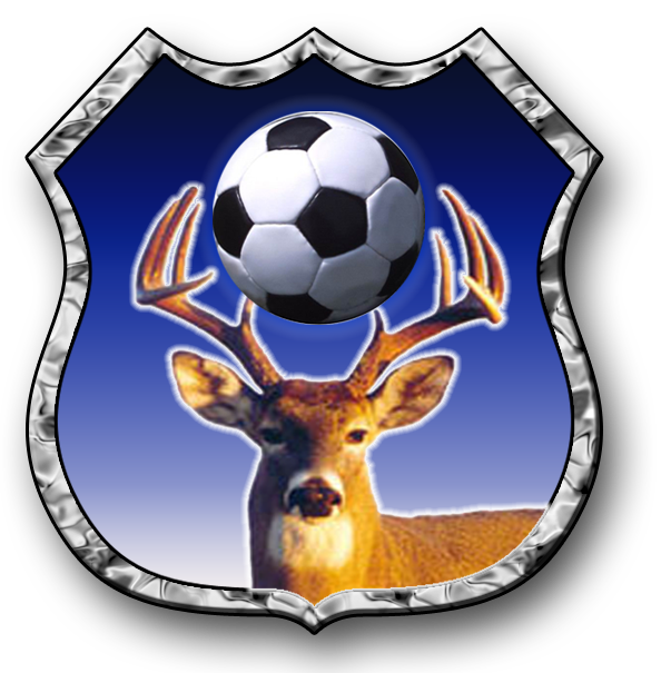 Logo de torneo Torneo Inviero 2024