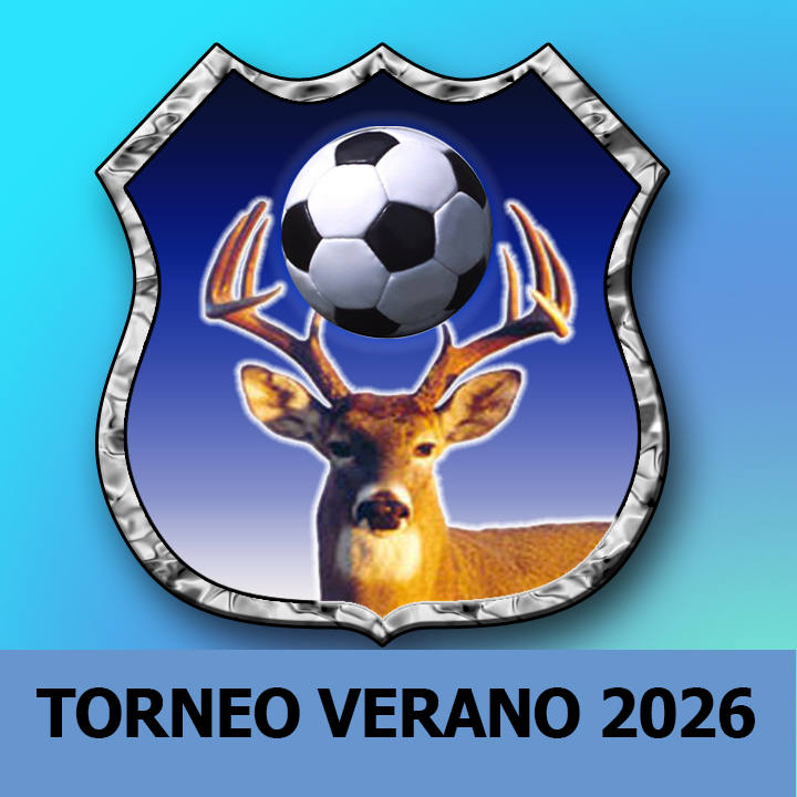 Logo de torneo Torneo Verano 2026
