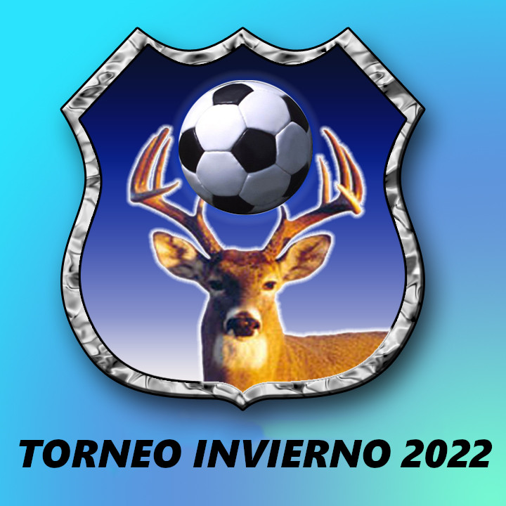 Logo de torneo Torneo Invierno 2022